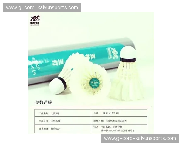 羽毛球深度解读：从基础到进阶，揭秘这项运动的魅力